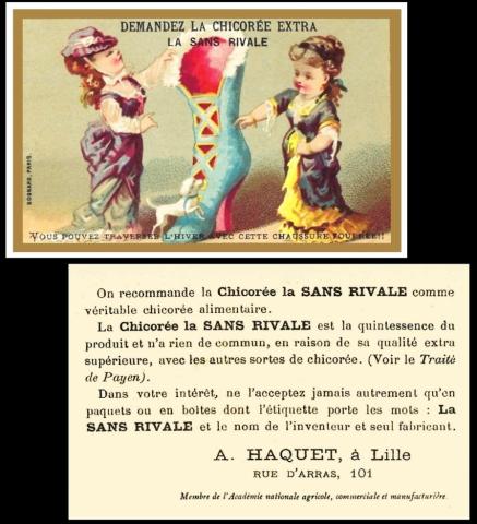 Chicoree sans rivale advert