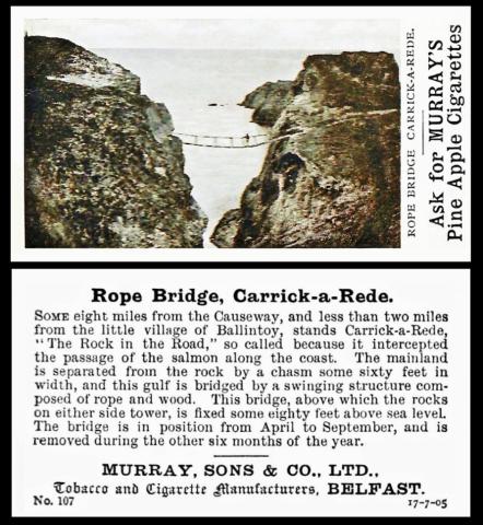 Murray Irish View Scenery
