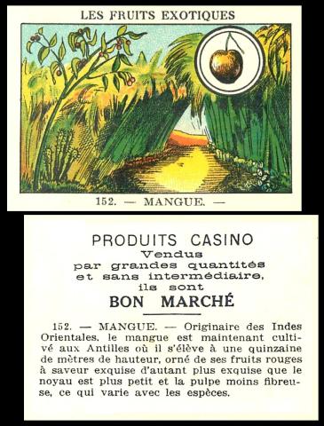 casino les fruites exotique