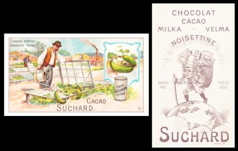 suchard 191