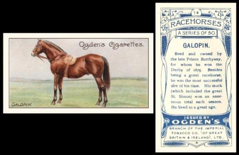 ogden racehorses 1907