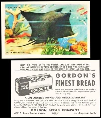 Gordons Bread denizens of the deep