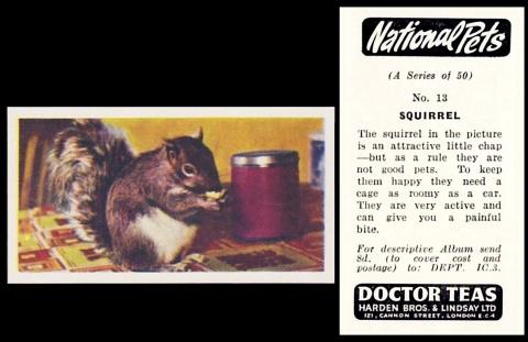 Harden Bros and Lindsay National Pets