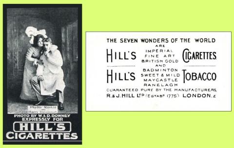 Hill Belle of New York