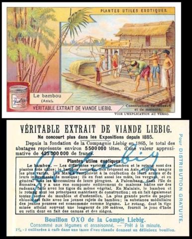 Liebig Plantes Utiles Exotiques