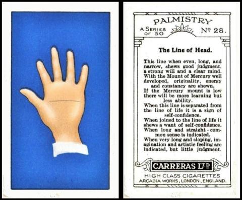 Carreras Palmistry