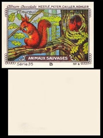 NPCK Animaux Sauvages