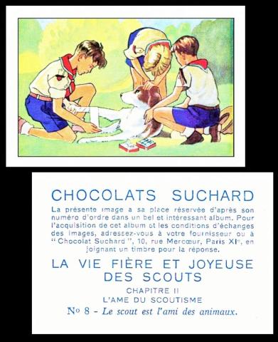 Suchard scouts