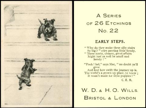 Wills Etchings medium