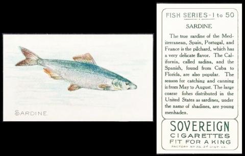 sovereign fish