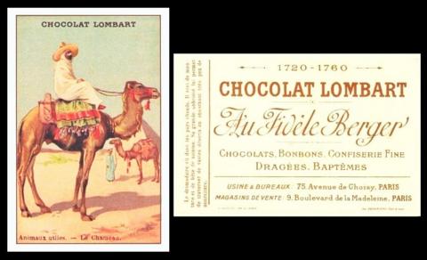 Chocolat Lombart Animaux Utiles