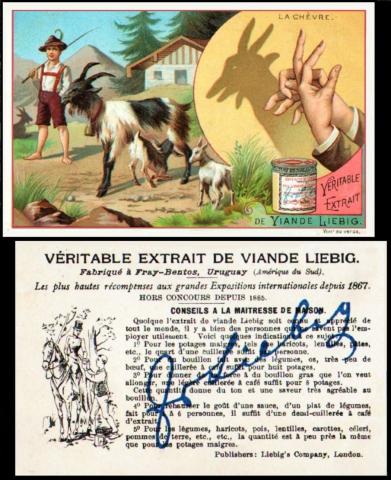 Liebig Ombres Chinois 1