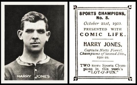 Comic Life Sports Champions