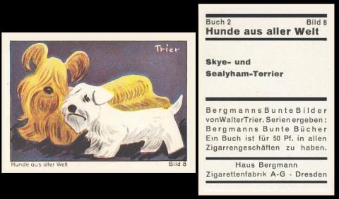 Bergmann Hunde aus aller Welt