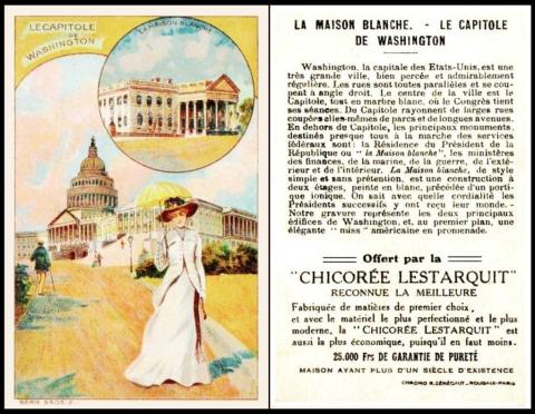 Chicoree Lestarquit S5505