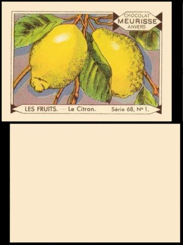 Meurisse Fruits 68