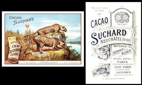 Suchard Animaux Sauvages