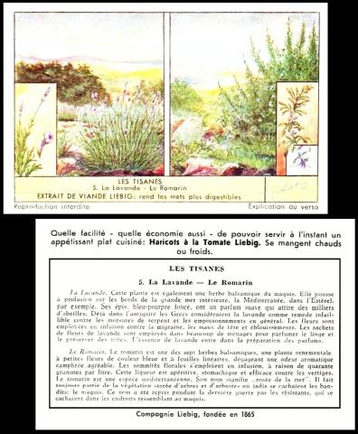 liebig les tisanes