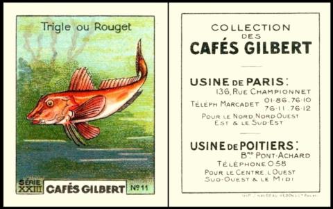 Cafe Gilbert Poisson S23