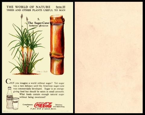 CocaCola World of Nature 3rd