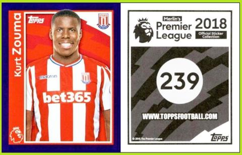 Merlin Premier League 2018