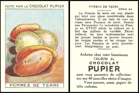 chocolate pupier legumes