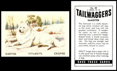 Ceral Foods Tailwaggers