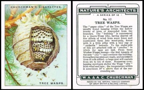 Churchman Nature`s Architects