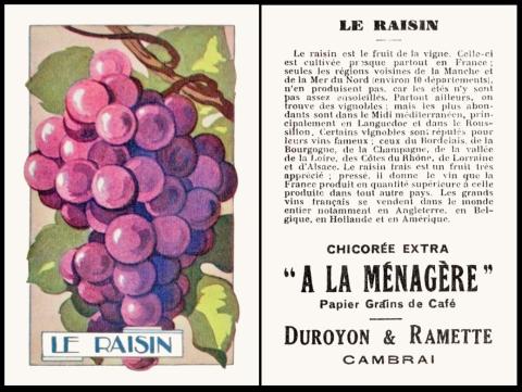 Duryon Ramette Fruites