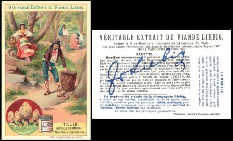 Liebig 522 Champignons I