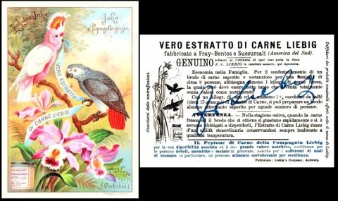 Liebig Oiseaux et Fleurs Exotiques