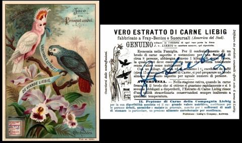 Liebig Oiseaux et Fleurs Exotique