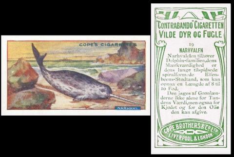 cope Vilde dyr og Fugle