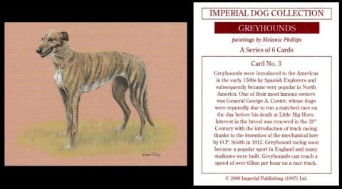 Imperial Publishing Greyhounds