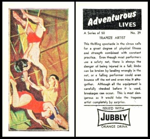 Jubbly Adventurous Lives