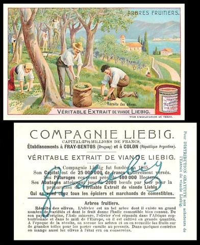Liebig Arbres Fruitiers