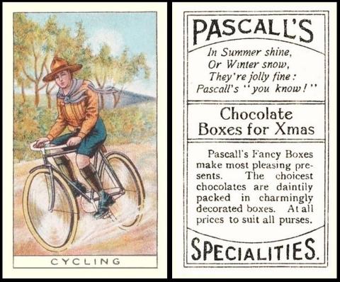Pascall Boy Scout