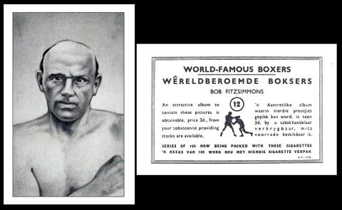 UTC World Famous Boxers