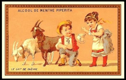 goatmilk