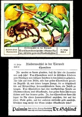 palmin Kleiderwechsel in derTierwelt