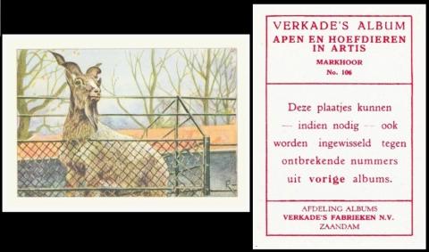 verkade Apen en Hoefdieren in Artis