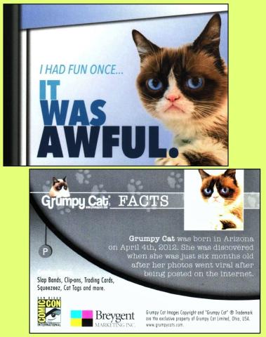 Breygent Grumpy Cat Promo