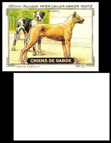 Peter Chiens de Garde