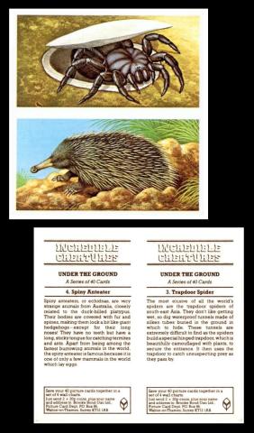 Brooke Bond Incredible Creatures 86 pair