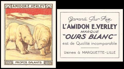 Amidon Verley ours blanc