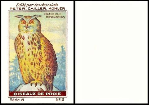 PCK Oiseaux de Proi