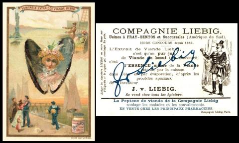 liebig coquillages