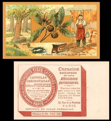 Fournier Botanique Illustree
