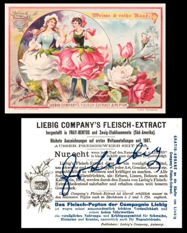 liebig Fleurs