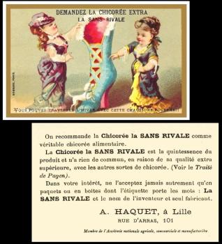 Chicoree sans rivale advert